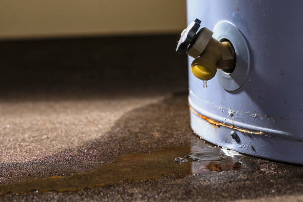 Best Fire Damage Restoration  in Washgton, IN