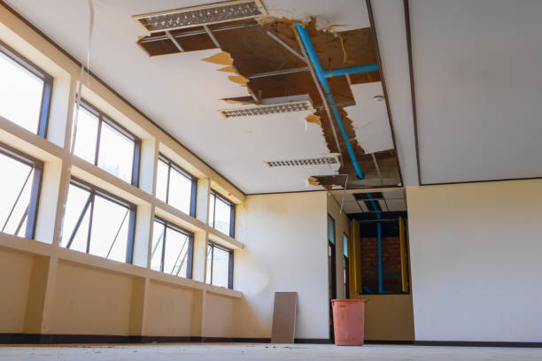 Best Flood damage cleanup  in Washgton, IN