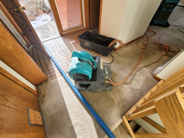 Best Water damage restoration company  in Washgton, IN