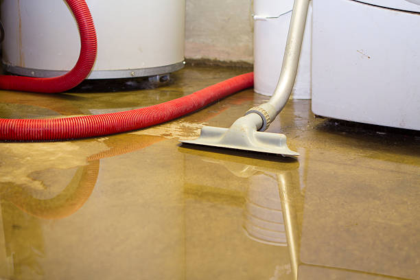 Best Water damage contractors near me  in Washgton, IN