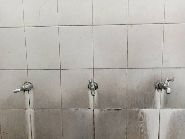 Best Local water damage restoration  in Washgton, IN