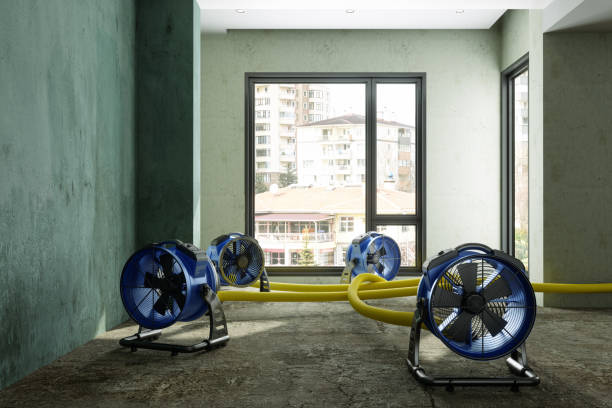 Best Residential water damage restoration  in Washgton, IN